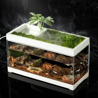 Small Aquariums Home Desktop Landscaping Fish Bowls Aquarium Moss Symbiosis Fish Incubator Box Artificial Aquarium with Filter