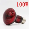 1pc-100w-220v