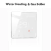 water-gas-boiler-wh