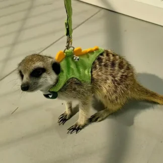 Adjustable Ferret Harness Vest Collars Dinosaur Design with Bell Cute Pet Leash Outdoor Walking Hamster Rat Mouse Ferret Clothes