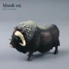 musk-ox