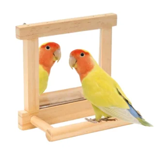 Bird Cage Mirror with Perch Wooden Bird Mirror Toy Interactive Parrot Standing Sticks Wood Parakeet Climbing Branches
