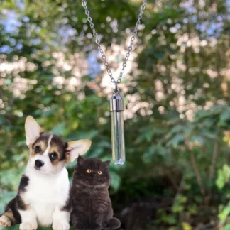 Stainless Steel Glass Cremation Cylinder Tube Urn Pendant Memorial Necklace Ashes Holder Keepsake Cremation Jewelry