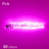 60led-pink