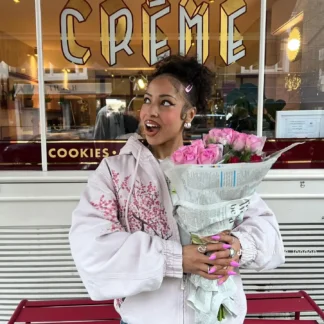 Y2K New Harajuku Plum Tree Embroidered Oversized Pink Zipper Hoodies For Men and Women Gothic Fashion Retro Street Sweatshirts