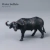 buffalo