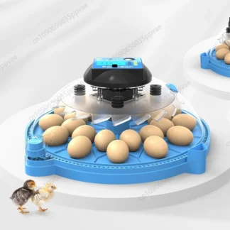 A8 Shape Automatic Egg Incubator For Cockatiel Parrot Quail Birds With Digital Temperature Control And Humidity Adjustment Smart